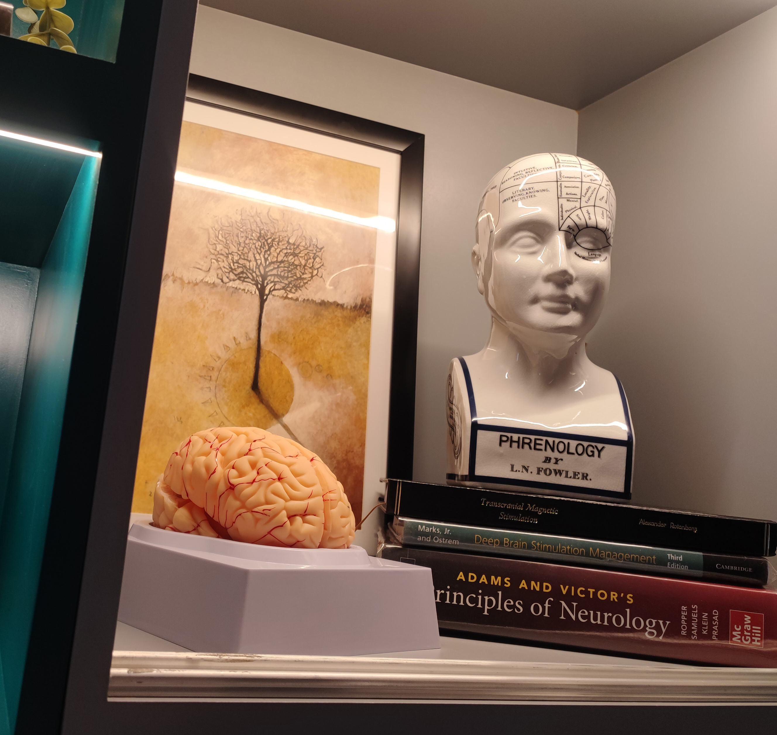 doctor, salud, Eduardo Arguelles Gonzalez, parkinson, cdmx, Mexico, movimiento, neurólogo, internista, enfermedades neurodegenerativas